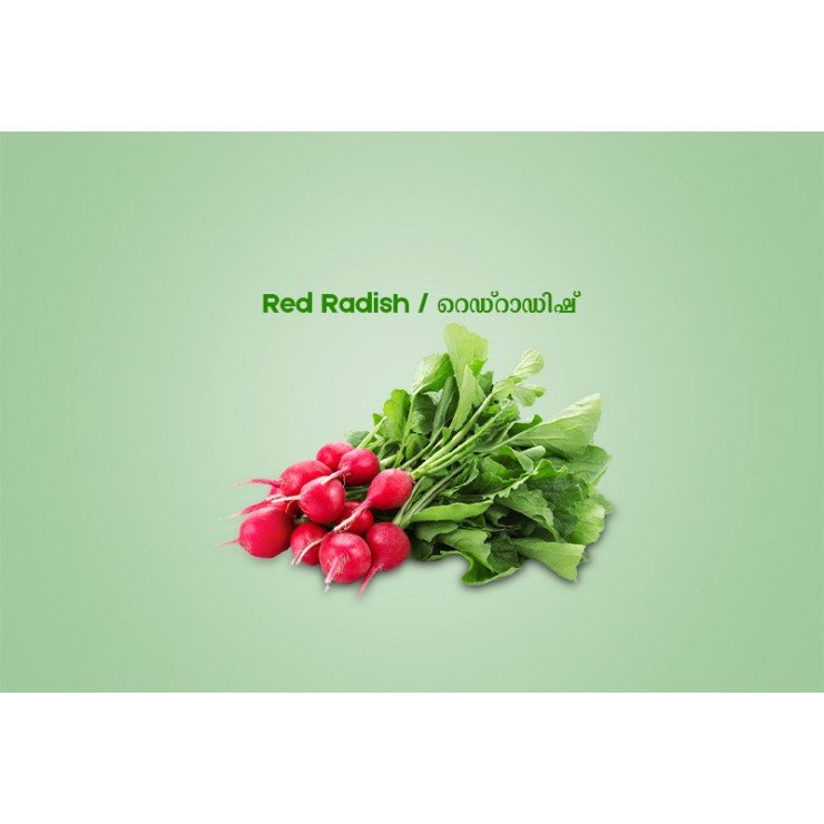Red Radish / റെഡ്റാഡിഷ് - 250.00 gm Pack ( Ozone Washed)